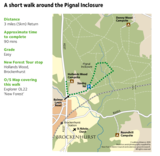The new forest standing hat pignal inclosure walking route